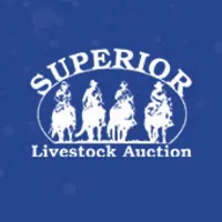Superior Livestock