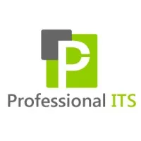 Professional IT Sols Pvt. Ltd.