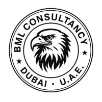 Bml Consultancy LLC Bml Consultancy LLC