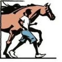 Stride Ahead, Inc. Equine-Assisted Therapies