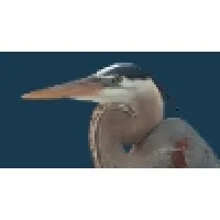 KLW Properties LLC KLW Properties LLC