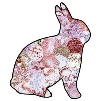 Zeta Corporation - Precision IVD Antibodies for Anatomic Pathology