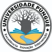 Universidade Púnguè