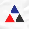 AAA Electronic Services Inc