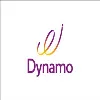 DYNAMO INFO TECHNOLOGIES PVT LTD DYNAMO INFO TECHNOLOGIES PVT LTD