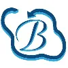 Bhavitra Technologies Private Limited
