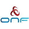 Open Networking Foundation (ONF)