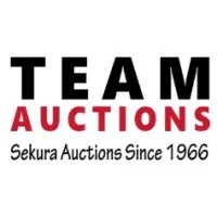 Team Auctions