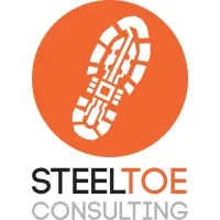 SteelToe Consulting LLC