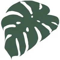 Spotted Leaf Plant Company Spotted Leaf Plant Company