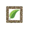 Art of Stone Gardening Art of Stone Gardening