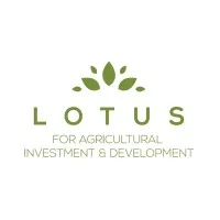 Lotus on sale footwear company