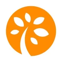 杏树林 - Apricot Forest 杏树林 - Apricot Forest