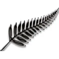 Immigration Migration