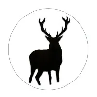 Patronus Energy LLC