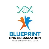 Blueprint DNA Organization