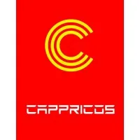Cappricos Technology Solutions