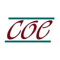 Centre for Organisational Effectiveness Centre for Organisational Effectiveness