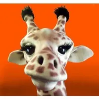 BAM! Mascots BAM! Mascots