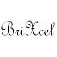 BRIXCEL, Inc.