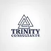 Trenity Consultants Trenity Consultants