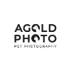 AGoldPhoto Pet Photography AGoldPhoto Pet Photography