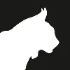 Krater.ai