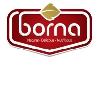 Amirkabir Borna 