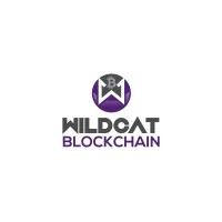Wildcat Blockchain LLC