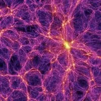 Cosmic Web Data Solutions