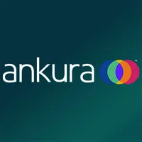 Ankura Joint Venture and Partnership Practice