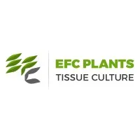 Egyptian French Company for Plant Tissue Culture S.A.E email format