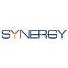Synergy Punching (P) Ltd Synergy Punching (P) Ltd