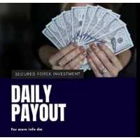 Prevised Crypto Capital