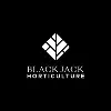 Blackjack Horticulture, Inc.