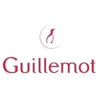 Guillemot Corporation email format