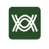 Avenox Avenox