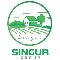 Singur Group