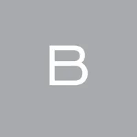 Basson Van Zyl Incorporated