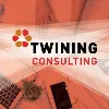Twining Consulting, Inc. Twining Consulting, Inc.
