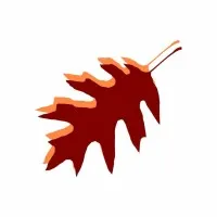 The Maries County Bank The Maries County Bank