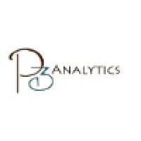 P3 Analytics P3 Analytics