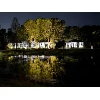 Elegant Accents Outdoor Lighting