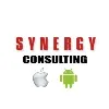 The SYNERGY Consulting The SYNERGY Consulting