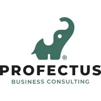 Profectus Business Consulting