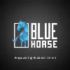 BlueHorse Software BlueHorse Software