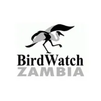 BirdWatchZambia