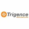 Trigence Semiconductor Trigence Semiconductor
