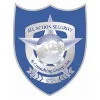All Action Security & Consulting Group, Inc All Action Security & Consulting Group, Inc