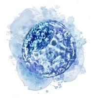 IVF Asia Group